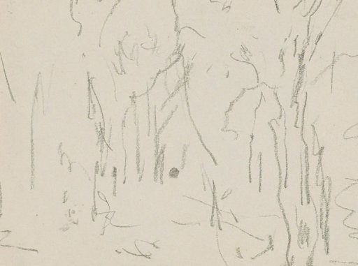 Forest View