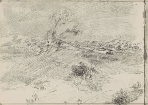 Dune landscape