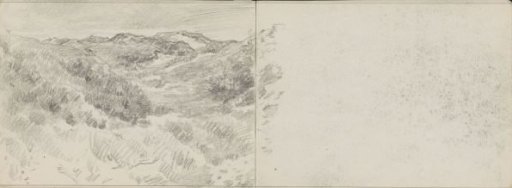 Dune landscape