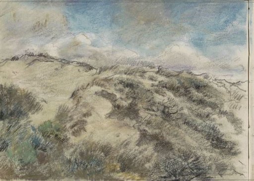Dune landscape