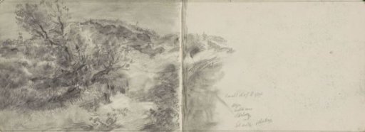 Dune landscape
