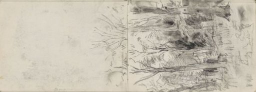 Forest View