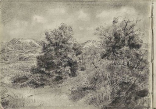 Dune Landscape