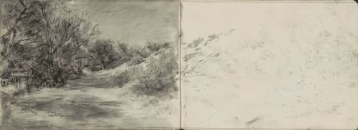 Dune Landscape