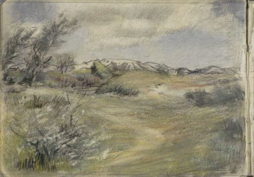 Dune Landscape