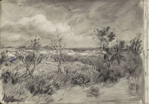 Dune Landscape