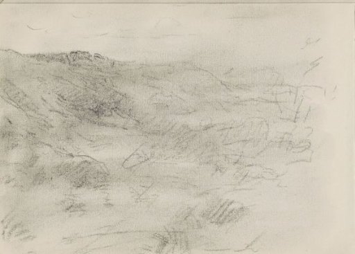 Dune landscape