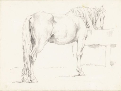 Horse at a Trough