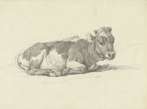 Lying Calf, Facing Right