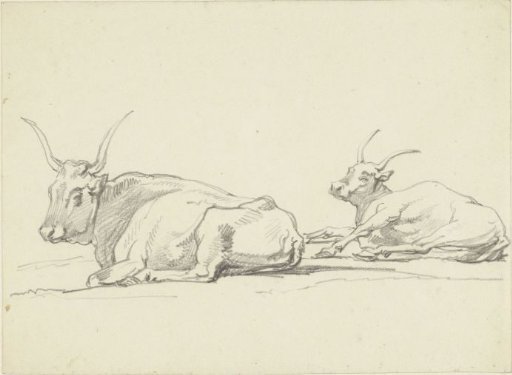 Two Lying Cows with Long Horns