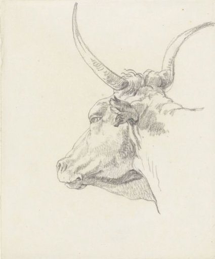 Head of an ox, to the left