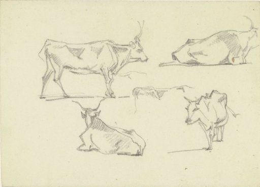Sketch Sheet with Five Cattle in Various Positions