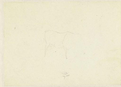 Sketch of a Cow