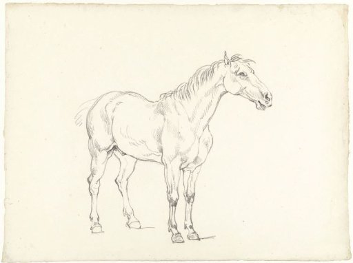 Study of a standing horse, facing right