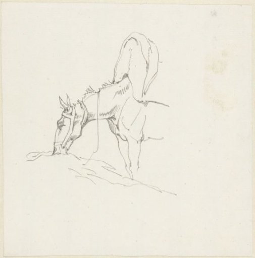 A Pack Horse Eating
