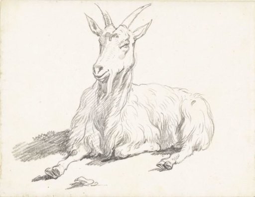 Lying Goat