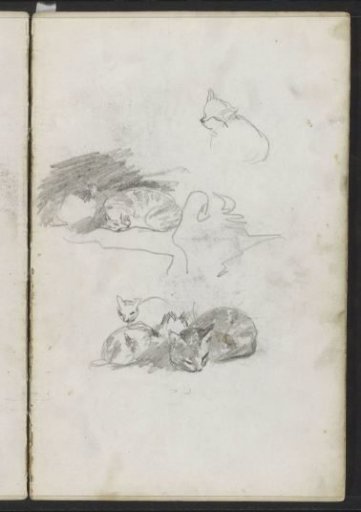Lying and sleeping cats