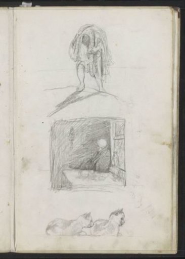 Carrier, a woman at a table by a window and two lying cats