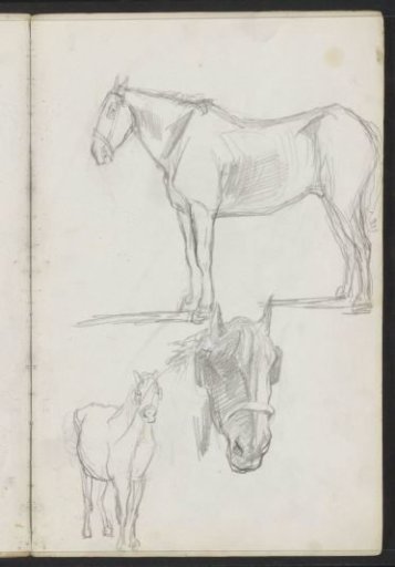 Horses