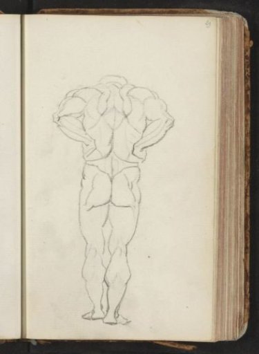 Standing man with muscle bundles