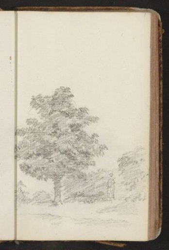 Figure on a path by a tree