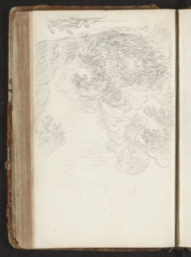 Edge of a forest