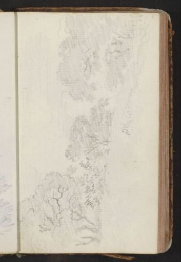Landscape with trees and shrubs