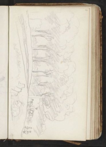 Horse and carriage on a tree-lined avenue