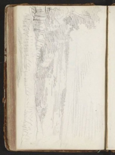 Landscape with trees and shrubs
