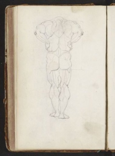 Standing man with bundles of muscles