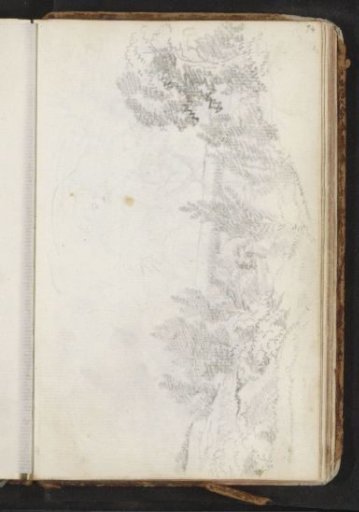 Hilly landscape with trees
