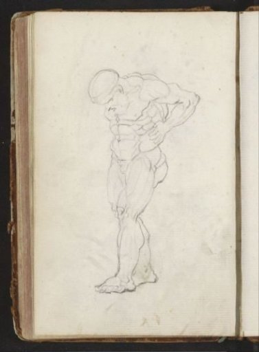 Standing man with bundles of muscles