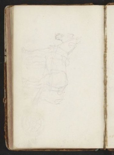 Horse harnessed to a plough