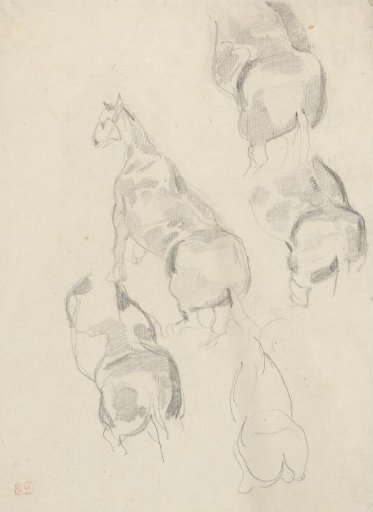 Five studies of a horse, seen from a window, from an oblique rear view