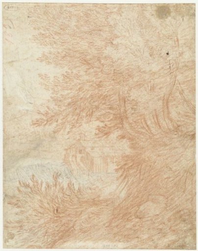 Group of Trees by a Rapid