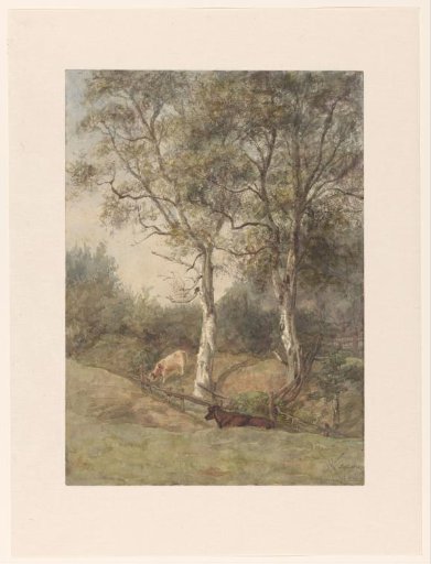 Forest landscape with cows, near Wolfheze