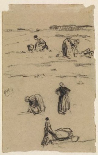 Studies of women in the countryside