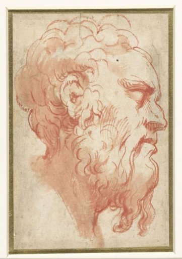 Head of an old man, profile to the right