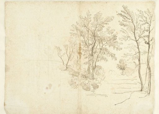 Group of Trees in the Roman Campagna