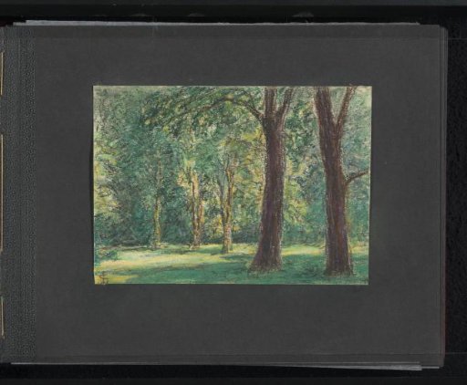 Trees in Wiesbaden