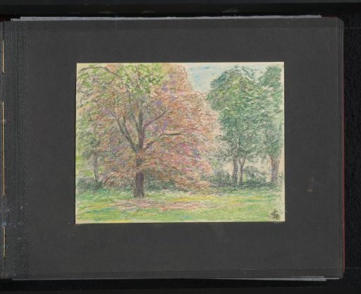 Trees