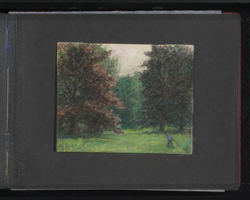 Park with trees and a gardener