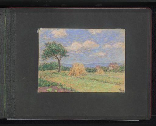 View of a field with hay bales