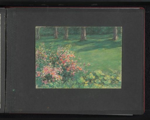 Field with flowers and trees