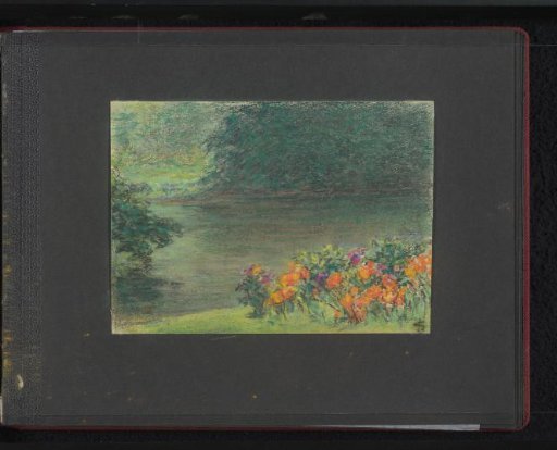 Vegetation and flowers along a pond