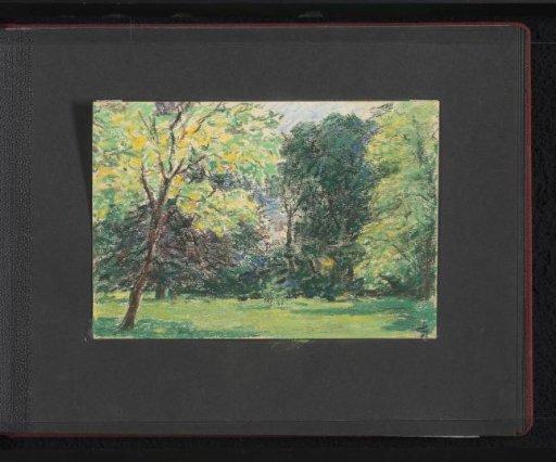 Trees in the Kurpark at Wiesbaden