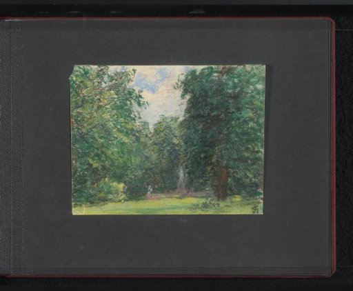 Clearing surrounded by trees