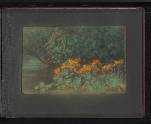 Vegetation with flowers
