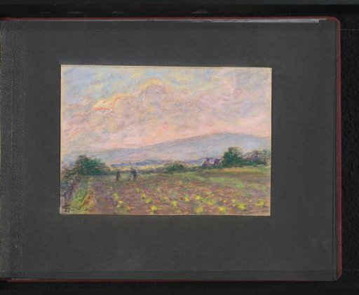 Field with two workers