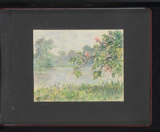 Flowering branches before a pond